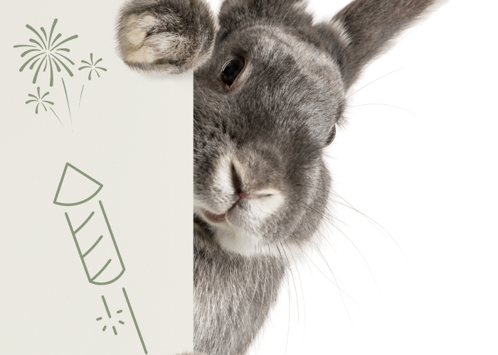 Silvester mit Kaninchen